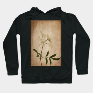 Wild Elderberry Flowers Hoodie